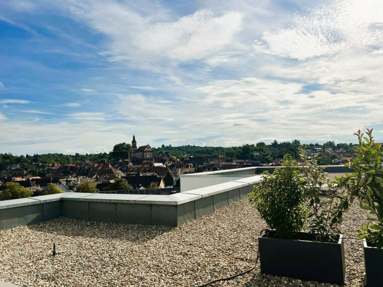 Ausblick